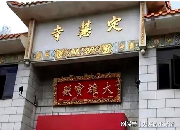迪撺掇女星傍富豪风流尼姑的瓜白天穿僧袍念经晚上换黑丝蹦(图7)