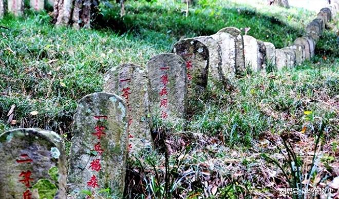 墓推平对英美盟军陵园保护有加忘恩负义的国家将我国4万烈士(图11)